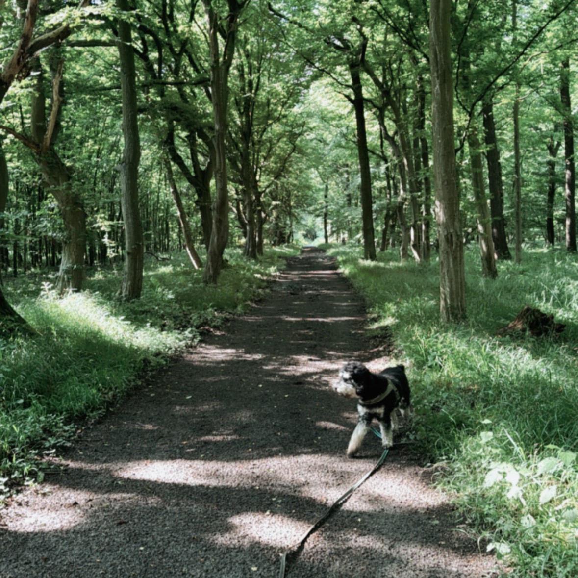 Milo in Eckernförde